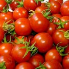 Red Cherry Tomato Super Sweet Early Fresh Seeds Fast Shipping