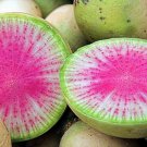 Red Meat Watermelon Radish Fresh Seeds Fast Shipping