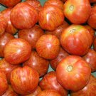 Red Zebra Tomato Grown To Organic Standards Fresh Seeds Fast Shipping