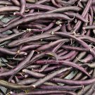 Royal Burgundy Bush Beans Fresh Seeds Fast Shipping