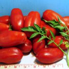 San Marzano Paste Tomato Indeterminate Fresh Seeds Fast Shipping