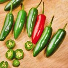 Serrano Hot Pepper Vegetable Seeds Fresh Seeds Fast Shipping