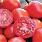Siberian Tomato Grown To Organic Standards Fresh Seeds Fast Shipping
