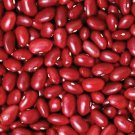 Small Red Chili Dry Bush Bean Fresh Seeds Fast Shipping