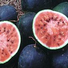 Small Shining Light Watermelon Icebox Melon Fresh Seeds Fast Shipping