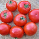 Spring King Tomato Fresh Seeds Fast Shipping