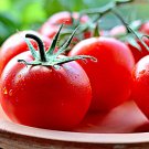 Sub Arctic Plenty Tomato Super Early Short Season Loves Cool Weather Fresh Seeds Fast Shipping