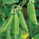 Sugar Ann Snap Peas Garden Organic Fresh Seeds Fast Shipping