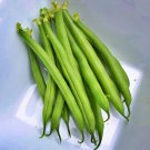 Sunray Bush Snap Bean Dual Purpose Vegetable Fresh Seeds Fast Shipping