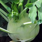 Superschmelz Kohlrabi Fresh Seeds Fast Shipping