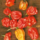 Sweet Red “Heatless” Habanero Pepper Fresh Seeds Fast Shipping