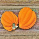 Table Gold Acorn Winter Squash Fresh Seeds Fast Shipping