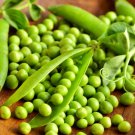Thomas Laxton Peas High Yielding Tender Sweet Fresh Or Frozen Fresh Seeds Fast Shipping