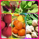 Three Color Detroit Beet Seed Kit Garden Vegetable Seeds Fresh Seeds Fast Shipping