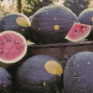 Watermelon Moon And Stars Vegetable Seeds Citrullus Lanatus 15 Seeds Fresh Seeds Fast Shipping