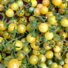 White Cherry Tomato Openpollinated Fresh Vegetable Seeds Fresh Seeds Fast Shipping