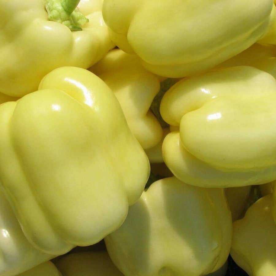 White Cloud Sweet Bell Pepper Vegetable Seeds Fresh Seeds Fast Shipping