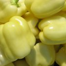 White Cloud Sweet Bell Pepper Vegetable Seeds Fresh Seeds Fast Shipping