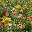 Wildflower Midwest Mix Seeds 7G Seeds Fresh Seeds Fast Shipping