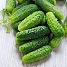 Wisconsin Smr 58 Cucumber Topproducing Pickling Cucumber Fresh Seeds Fast Shipping