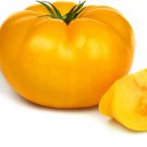 Yellow Beefsteak Tomato Vegetable Fresh Seeds Fast Shipping