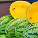 Yellow Gem Sweet Watermelon Vegetable Seeds Fresh Seeds Fast Shipping