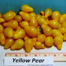 Yellow Pear Tomato Grown To Organic Standards Fresh Seeds Fast Shipping