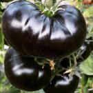 10 Black Sea Man Tomato Seeds Organic Rare Fresh Seeds Fast Shipping