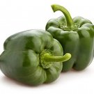 10 California Wonder Bell Pepper Seeds 300 Tmr Fresh Seeds Fast Shipping