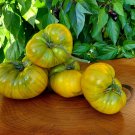 10 Cherokee Green Tomato Seeds Organic Rare Fresh Seeds Fast Shipping