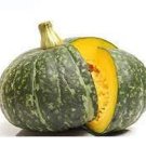 10 Kabocha Japanese Winter Squash Seeds Fresh Seeds Fast Shipping