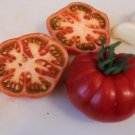 10 Sub Arctic Plenty Tomato Seeds Organic 45 50 Days Fresh Seeds Fast Shipping