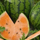 10 Tendersweet Orange Watermelon Seeds Fresh Seeds Fast Shipping