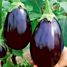 100 Black Beauty Eggplant Seeds Summer Vegetable Container Fresh Seeds Fast Shipping