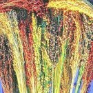 100 Broom Corn Seeds Sorghum Multi Color Crafts Home Accents Gold Red Bronze Purple Brown Fresh Seed