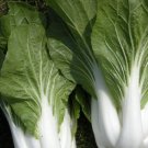 100 Cabbage Seeds Pak Choi White Stem Chinese Fresh Seeds Fast Shipping