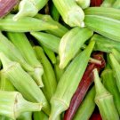 100 Clemson Spineless Okra Seeds Organic Summer Vegetable Fresh Seeds Fast Shipping