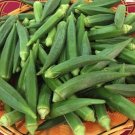 100 Emerald Okra Seeds Fresh Seeds Fast Shipping