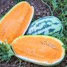 100 Tendersweet Orange Watermelon Seeds Fresh Seeds Fast Shipping