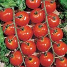 120 Sweetie Cherry Tomato Seeds Organic Fresh Seeds Fast Shipping