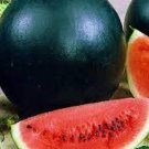 20 Black Diamond Watermelon Seeds Fresh Seeds Fast Shipping