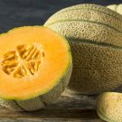 20 Honey Rock Cantaloupe Melon Organic Fresh Seeds Fast Shipping
