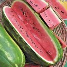 25 Jubilee Watermelon Seeds Organic Melon 25-30Lbs Summer Fresh Seeds Fast Shipping
