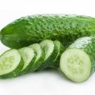 30 Arkansas Little Leaf Cucumber Seeds Organic Fresh Seeds Fast Shipping