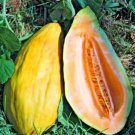 30 Banana Melon Seeds Pre 1900 S Organic Open Pollinated Summer Melon Vine Fresh Seeds Fast Shipping