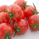 40 Pink Bumble Bee Organic Tomato Seeds Fresh Seeds Fast Shipping