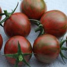40 Purple Bumble Bee Tomato Seeds Fresh Seeds Fast Shipping