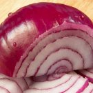 400 Red Burgundy Sweet Onion Seeds Organic Short Day Spring Fall Container Fresh Seeds Fast Shipping