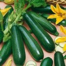 50 Black Beauty Zucchini Squash Organic Fresh Seeds Fast Shipping