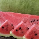 50 Charleston Grey Watermelon Seeds Fresh Seeds Fast Shipping